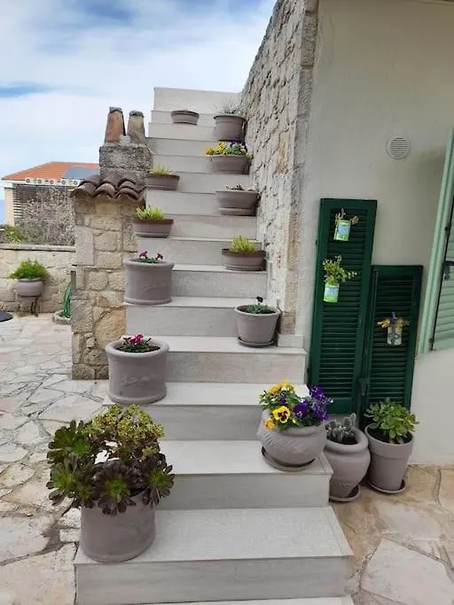 Rodon - Appartment With Seaview Backyard In Άφυτος Διαμέρισμα